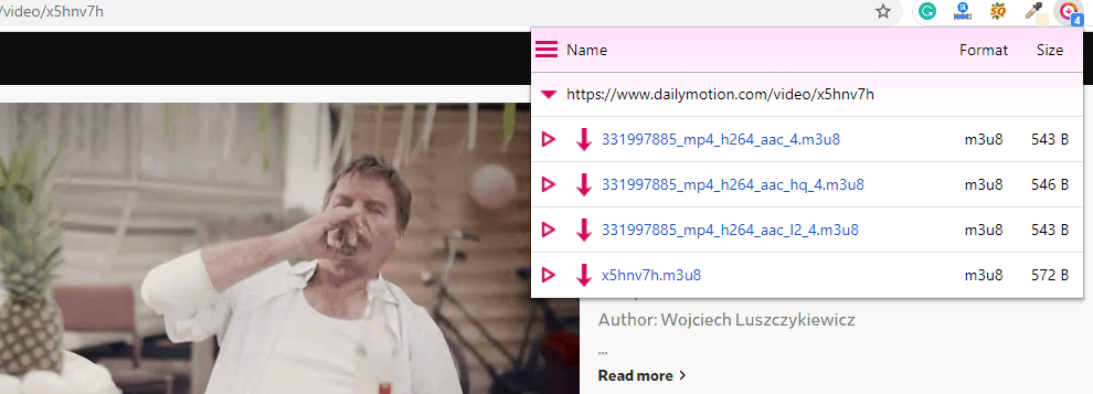 11 Best Chrome Video Downloader Extensions in 2023  Updated  - 66